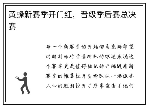 黄蜂新赛季开门红，晋级季后赛总决赛