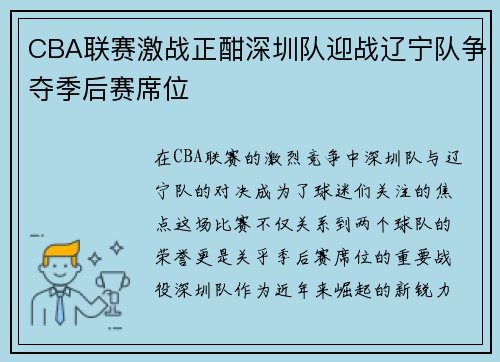 CBA联赛激战正酣深圳队迎战辽宁队争夺季后赛席位